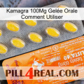Kamagra 100Mg Gelée Orale Comment Utiliser new05